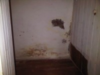 /album/fotogallerij-huis-2/img-20120423-00382-3-jpg/